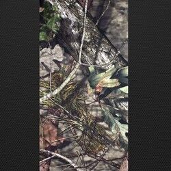 Mossy Oak FAQ